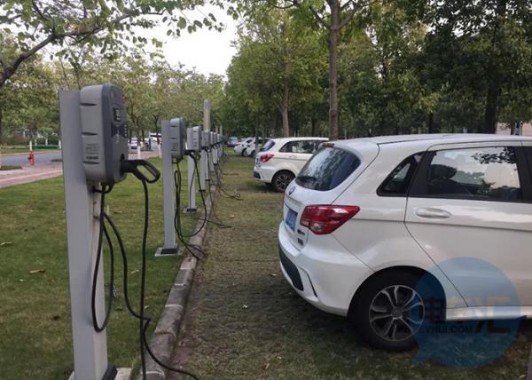 1585275312666344.jpg 23174438645899.jpg